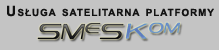 SMS dla biznesu